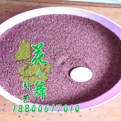 種子系列 廠家直銷 批發(fā)蛇莓種子 當(dāng)年采 量大優(yōu)惠 發(fā)芽率高 蛇莓種子價(jià)格圖片|種子系列 廠家直銷 批發(fā)蛇莓種子 當(dāng)年采 量大優(yōu)惠 發(fā)芽率高 蛇莓種子價(jià)格產(chǎn)品圖片由沭陽(yáng)縣花之舞綠化苗木場(chǎng)公司生產(chǎn)提供-