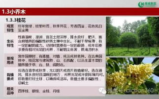 綠城集團園林軟景苗木圖譜,非常全面,值得借鑒 收藏