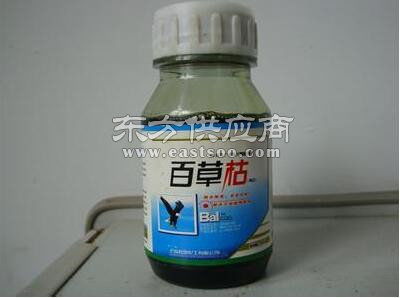 二月藍(lán)綠化器材出售與苗木營養(yǎng)杯供應(yīng)商介紹